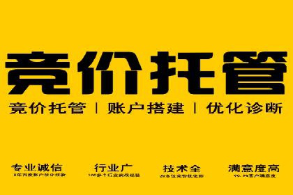 百度竞价排名实战：关键词优化与广告投放效果评估案例